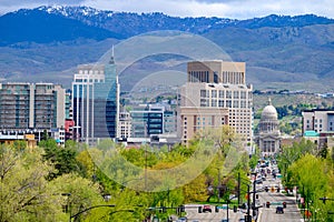Spring trees and Boise skyline with snow in the hills