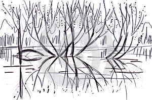 spring trees and bushes, reflections in the water, graphic drawing