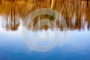 Spring trees reflecting in the water