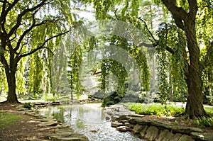 Spring Trees and Stream