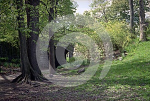 Spring Trees and Underpass, Olmsted Park photo