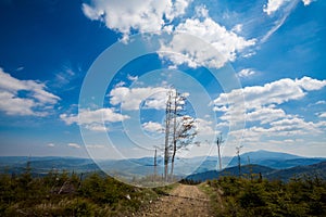 Spring trekking Beskidy Rysianka Romanka