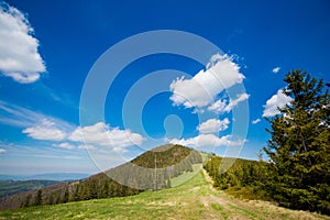 Spring trekking Beskidy Rysianka Romanka