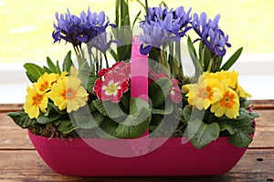 Spring Trug