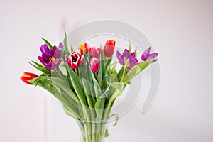 Spring tulip bouquet. Holiday decor with flowers colorful tulips