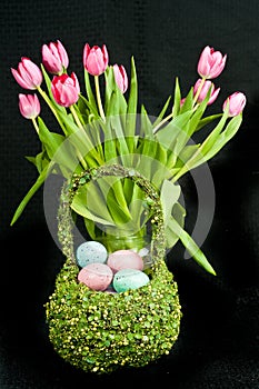 Spring tulips and basket of colored eggs