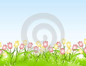 Spring Tulips Flower Border Background photo