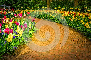 Spring Tulips Flowerbeds