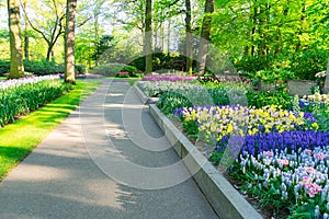 Spring Tulips Flowerbeds