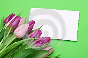 Spring tulips and greeting card