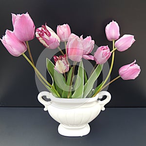 Spring tulips in a white vase on a black background