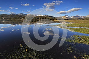 Spring at Tuolumne Meadows in Yosemite photo