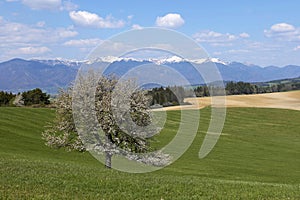 Jaro v regionu Turiec, Malá Fatra, Slovensko