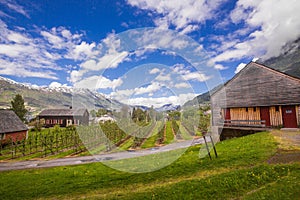 Spring in Ulvik, Norway
