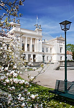 Primavera università 