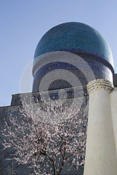 Spring in Uzbekistan. The spring festival of Navruz. Flowering trees near the mosque Bibi Khanum, Samarkand