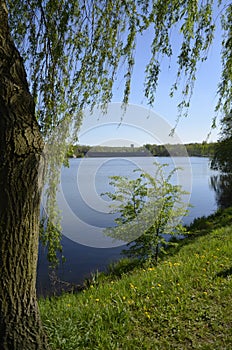 Spring in the Valley of Three Ponds, Katowice