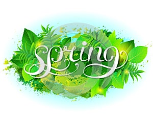 Spring Vector Background