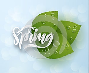 Spring vector background. EPS10