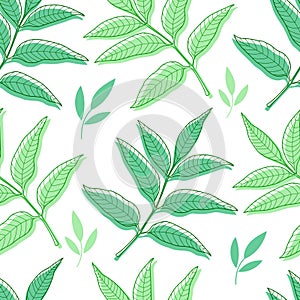 Spring vector seamless pattern with green leaf outlines, silhouettes.