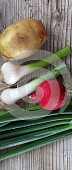spring vegetables, fresh, potato,garlic,onion, and radish ,