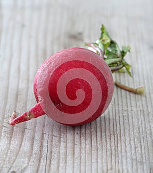 spring vegetables, fresh, radish,