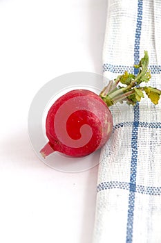 spring vegetables, fresh, radish,