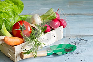 Spring vegetables and gardening tools