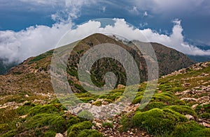 Spring vetation in the mountains with clouds