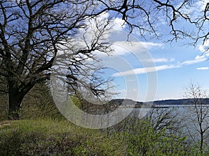 Spring view besides the peaceful lake