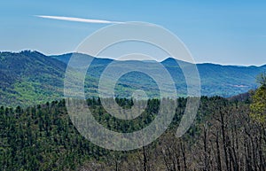 A Spring View of the Blue Ridge Mountains