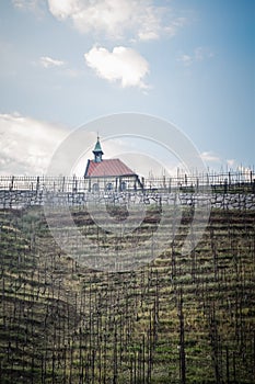 Spring view of Chapel of St Claire and vineyards