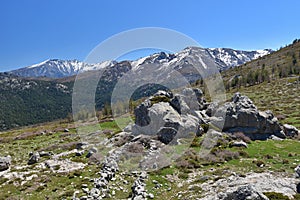 Spring view of the Corsican high mountains