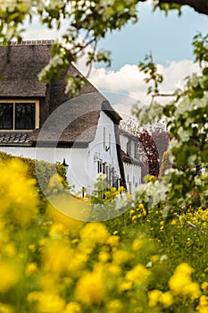 Spring view of a countryside road with farm houses in The Nether