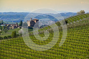Spring View on hill of the Langhe Unesco heritage