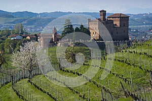 Spring View on hill of the Langhe Unesco heritage