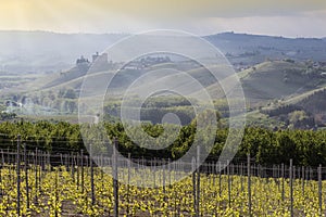 Spring View the Langhe Unesco heritage