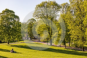 Spring view in Letna Park, Prague, Czech Republic. Spring in Prague Praha, beautiful Letna park Letenske sady in sunlight,