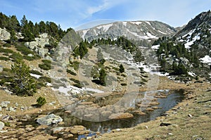 Primavera da la Valle 