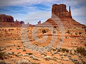 Spring view in Monument Valley on the 17 Mile Drive