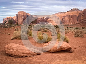 Spring view in Monument Valley on the 17 Mile Drive