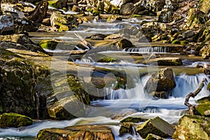 A Spring View of Rocky Stream