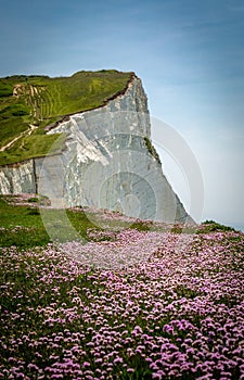 A Spring View at Seaford Head Cliff