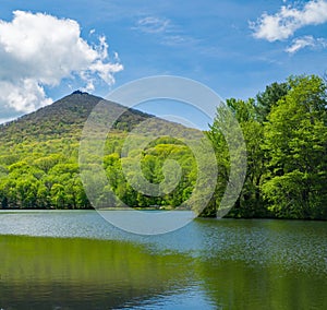 Spring View of Sharp Top Mountain and Abbott Lake