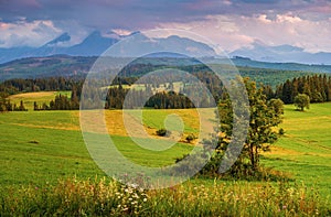 Spring view of the Tatra Mountains in Poland from Spisz and Podhale.