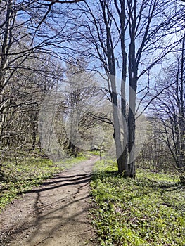 Spring view of Vitosha Mountain,  Bulgaria