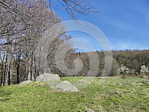 Spring view of Vitosha Mountain,  Bulgaria