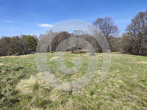 Spring view of Vitosha Mountain,  Bulgaria