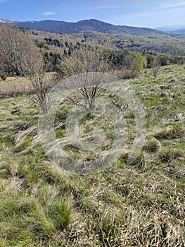 Spring view of Vitosha Mountain,  Bulgaria