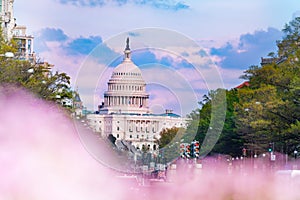 Spring view of Washington Capitol Congress